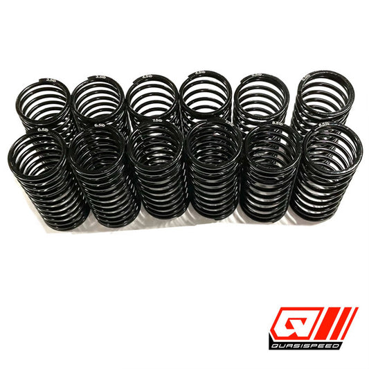 Team GFRP Big Bore Low Frequency Springs