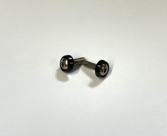 Titanium 3mm Motor Screws (2) with Washers (2)